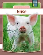 Grise af Eva Mosegaard Amdisen