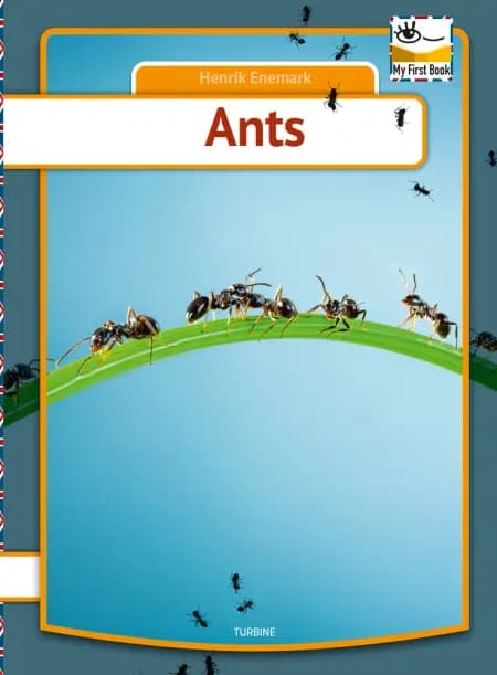 Ants af Henrik Enemark