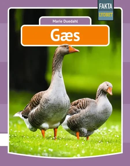 Gæs af Marie Duedahl