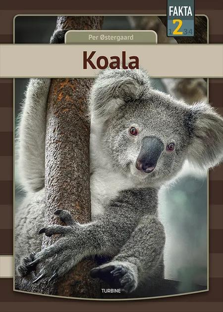 Koala af Per Østergaard