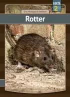 Rotter