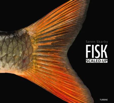 FISK - scaled-up af Søren Skarby