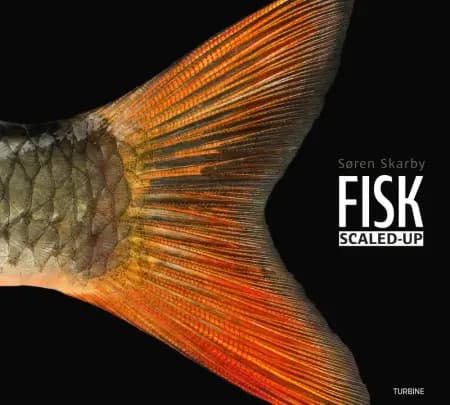 FISK - scaled-up af Søren Skarby