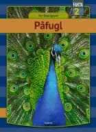 Påfugl af Per Østergaard