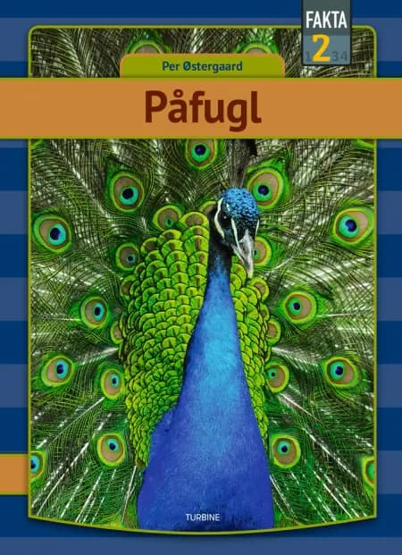 Påfugl af Per Østergaard