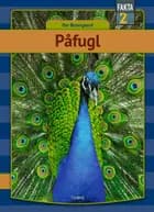 Påfugl af Per Østergaard