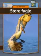 Store fugle af Per Østergaard