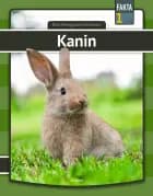 Kanin af Eva Mosegaard Amdisen