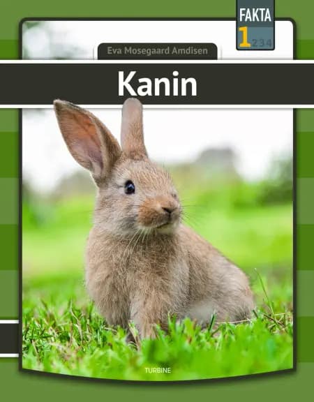 Kanin af Eva Mosegaard Amdisen