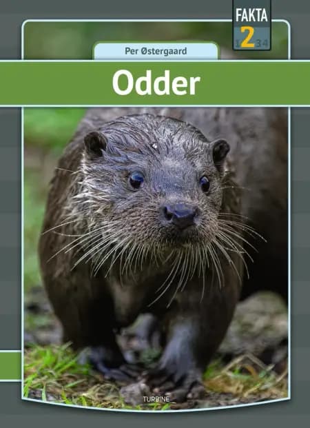 Odder af Per Østergaard