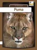 Puma af Per Østergaard