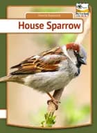 House Sparrow af Henrik Enemark
