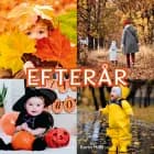 Efterår af Karin Hald