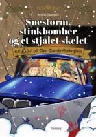 Snestorm, stinkbomber og et stjålet skelet - en lortejul på Den Gamle Gyllegård af Marie Duedahl