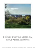 Danmarks kirker. Svendborg Amt. Kirkerne i Diernæs, †Finstrup, Vester Åby, Åstrup, Vester Skerninge af Anders C. Christensen og Marie Louise Bode Blyme
