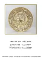 Danmarks Kirker: Svendborg amt, hft. 40-42 af Rikke Ilsted Kristiansen, Pia Katrine Lindholt og Thomas Fjelstrup Nielsen