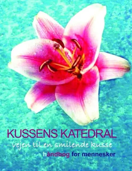 Kussens Katedral af Kirsia Isabella Olufsen