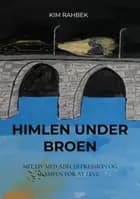 Himlen under broen af Kim Rahbek