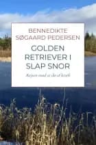 Golden Retriever i slap snor af Bennedikte Søgaard Pedersen