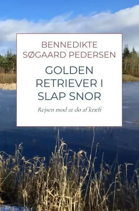 Golden Retriever i slap snor af Bennedikte Søgaard Pedersen
