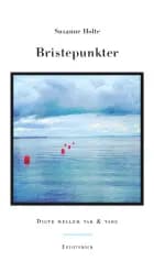 Bristepunkter af Susanne Holte