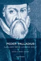 Peder Palladius af Martin Schwarz Lausten