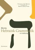 Bibelsk Hebraisk Grammatik af Flemming A. J. Nielsen