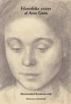 Filosofiske essays af Arne Grøn af Arne Grøn