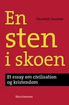 En sten i skoen af Thorkild Grosbøll