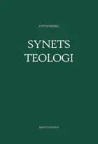 Synets teologi af Svend Bjerg