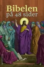 Bibelen på 48 sider af Linda Alexandersson