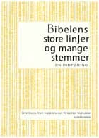 Bibelens store linjer og mange stemmer af Gertrud Yde Iversen og Kirsten Nielsen
