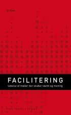 Facilitering af Ib Ravn