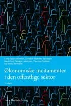 Økonomiske incitamenter i den offentlige sektor af Lotte Bøgh Andersen, Thomas Pallesen og Søren Serritzlew