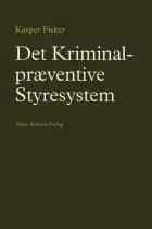 Det kriminalpræventive styresystem