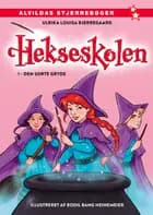 Hekseskolen 1: Den sorte gryde af Ulrika Louisa Bjerregaard