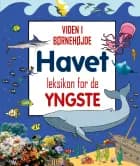 Havet - leksikon for de yngste