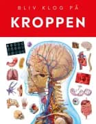 Kroppen