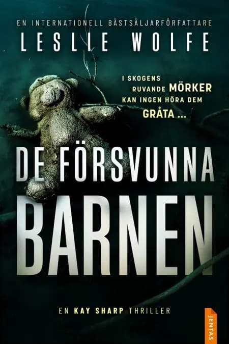 De försvunna barnen af Leslie Wolfe