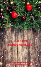 JUL I DEN SAMMENBRAGTE af Vibeke C. Larsen