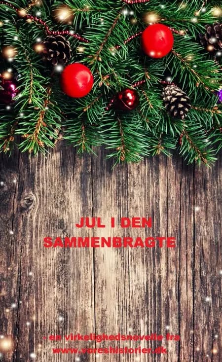 JUL I DEN SAMMENBRAGTE af Vibeke C. Larsen