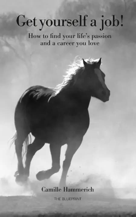 Get yourself a job af Camille Hammerich