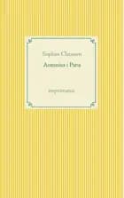 Antonius i Paris af Sophus Claussen