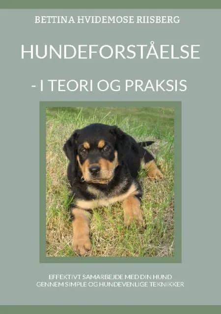 Hundeforståelse af Bettina Hvidemose