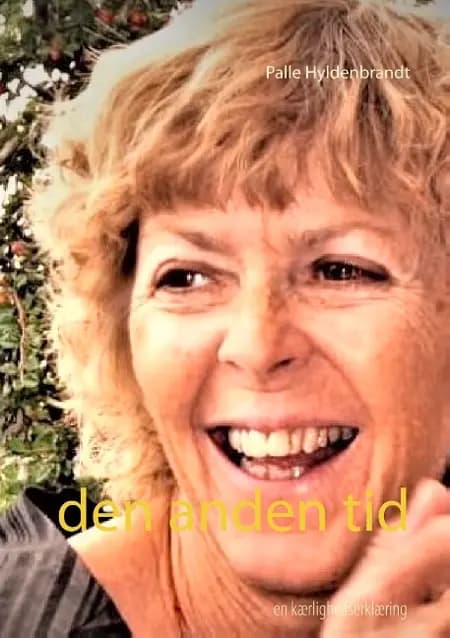 den anden tid af Palle Hyldenbrandt