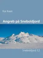 Angreb på Sneboldjord af Kai Kean