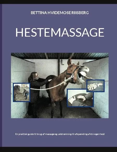 Hestemassage af Bettina Hvidemose