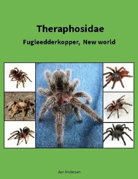 Theraphosidae af Jan Andersen