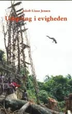 Udspring i evigheden af Jakob Linaa Jensen