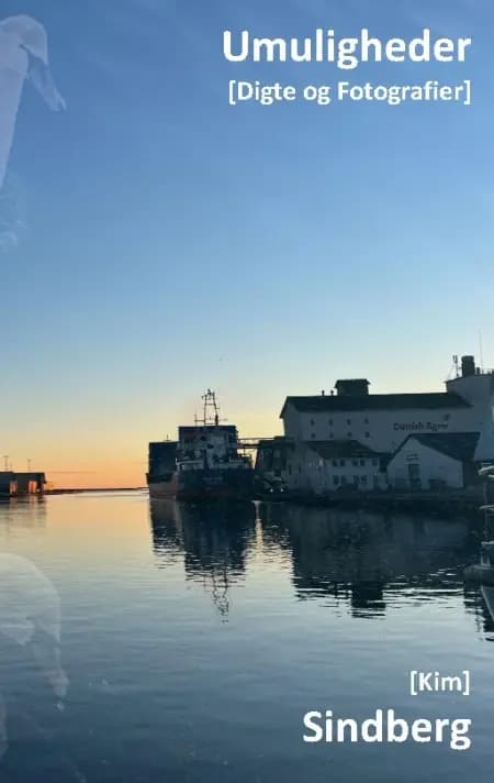 Umuligheder af Kim Sindberg